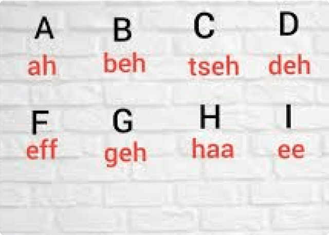 Beginner German (A1–A2)